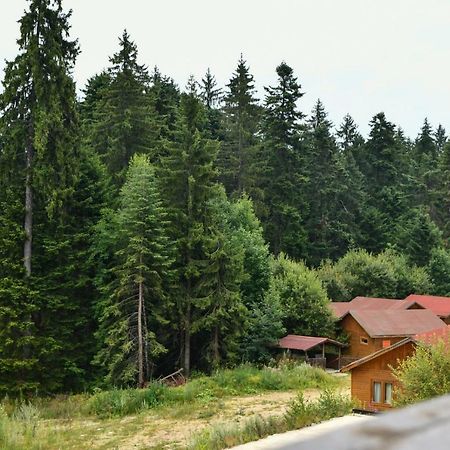Iglika 2, V9 Daire Borovets Dış mekan fotoğraf