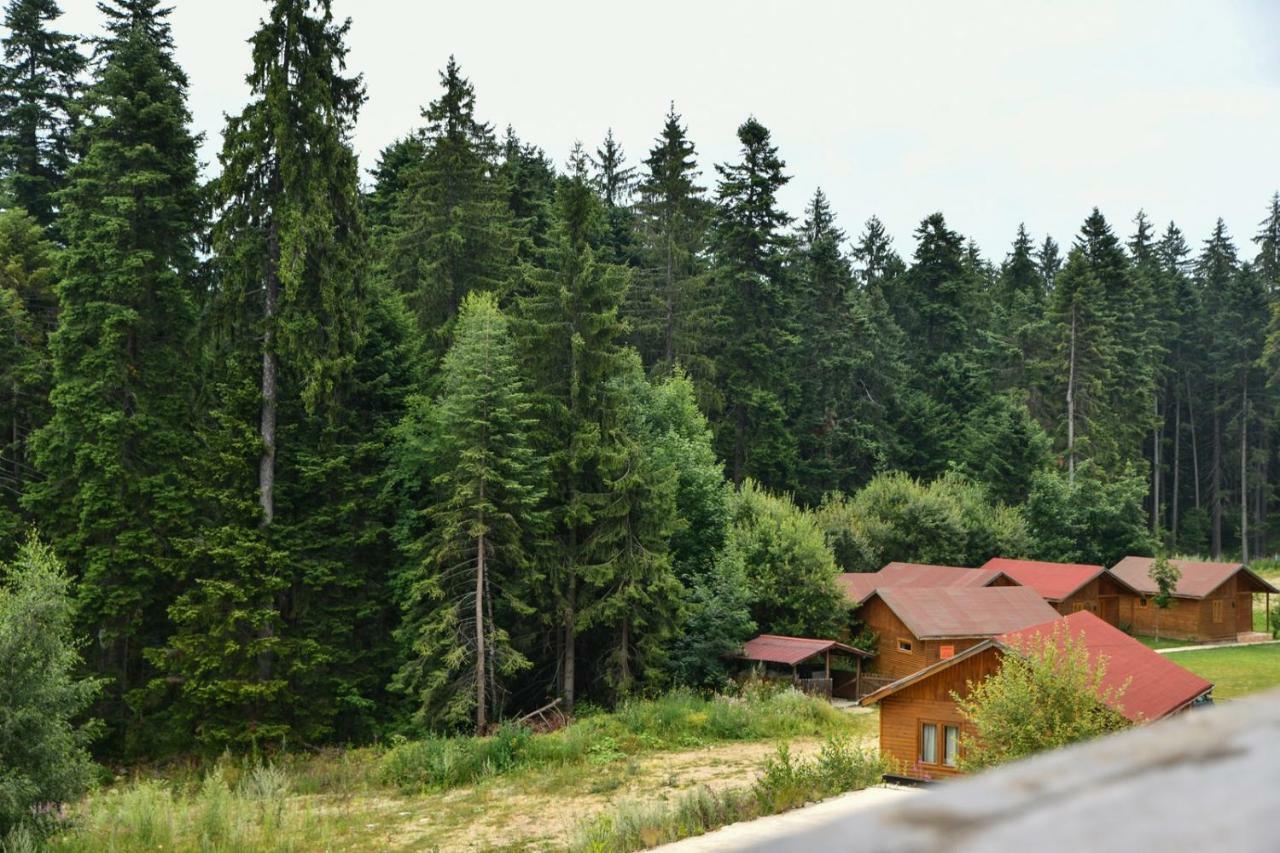 Iglika 2, V9 Daire Borovets Dış mekan fotoğraf